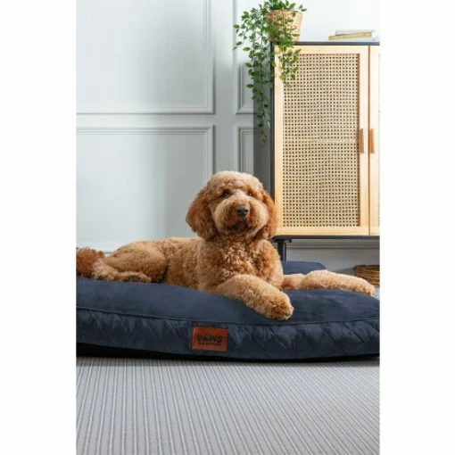Slumberdown Paws For Slumber Large Pet Bed For Unisex -Moda in Pelle Store unnamed file 829